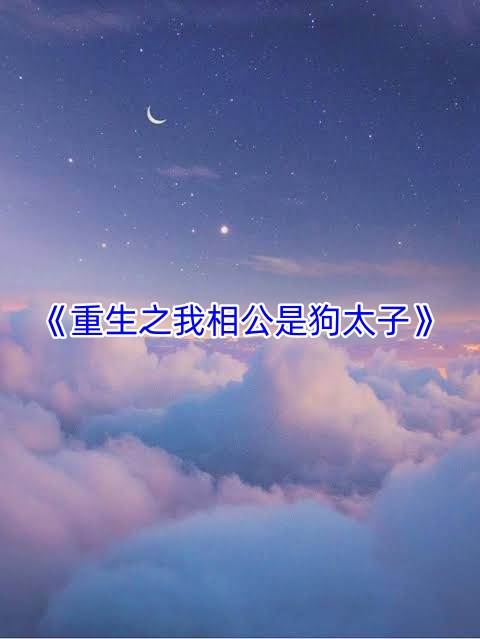 我的諜戰日記